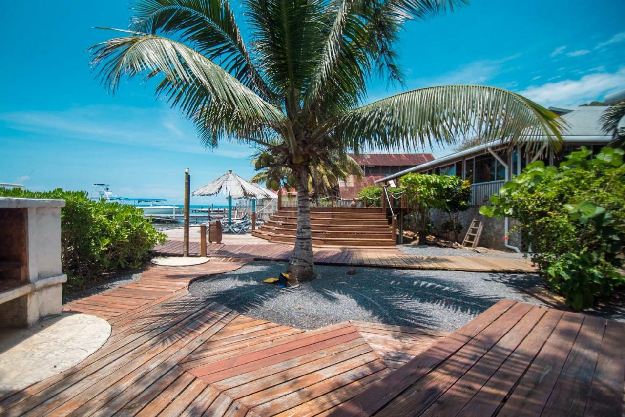 Wikkid Resort Dixon Cove Exterior foto